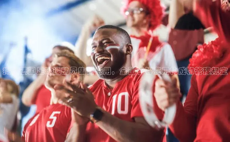 Vsport体育平台百度数据开放平台揭秘德国足球运动员集训费用，全面了解费用构成和管理规定