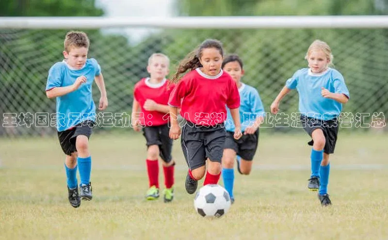 VSport - 胜利因您更精彩如流王坤国家足球运动员：个人资料、职业生涯和荣誉汇总