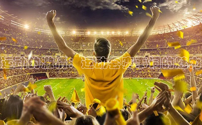 VSports官方网站宣亚国际运动的激情：运动会赛事词的魅力