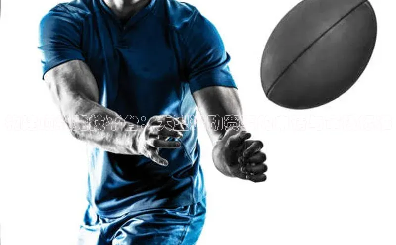 Vsport入口每日互动构建顶级竞技平台：大型运动赛事的申请与审核标准