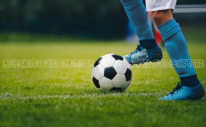 东莞体育运动竞技赛事：体育与城市融合的无限可能