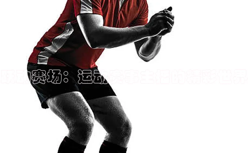 跃动赛场：运动赛事主播的精彩世界