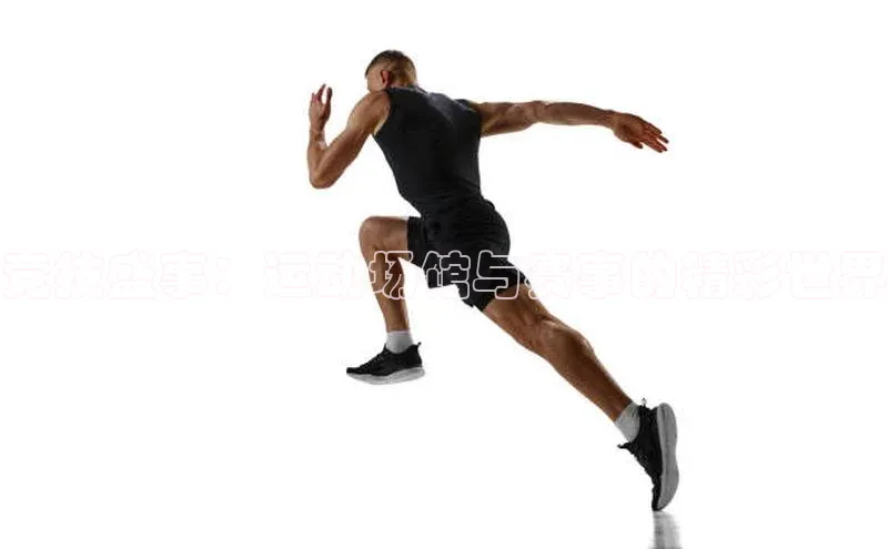 竞技盛事：运动场馆与赛事的精彩世界