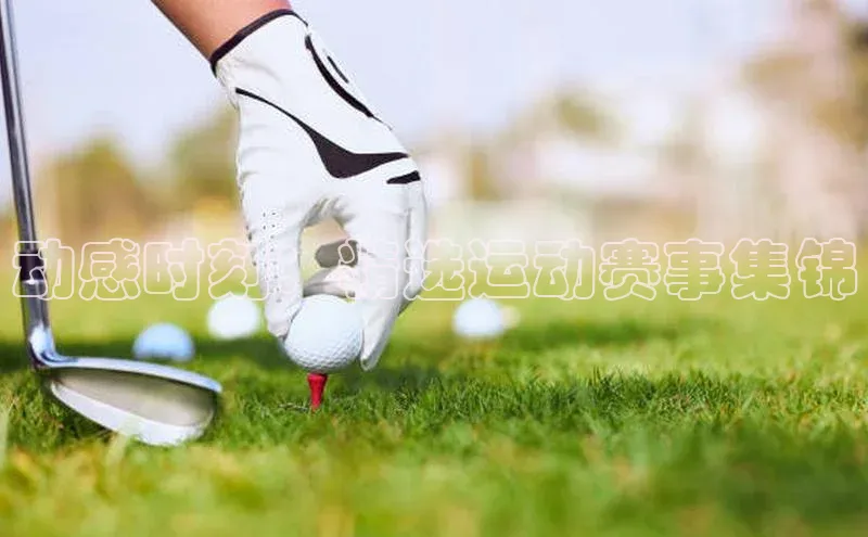 动感时刻：精选运动赛事集锦