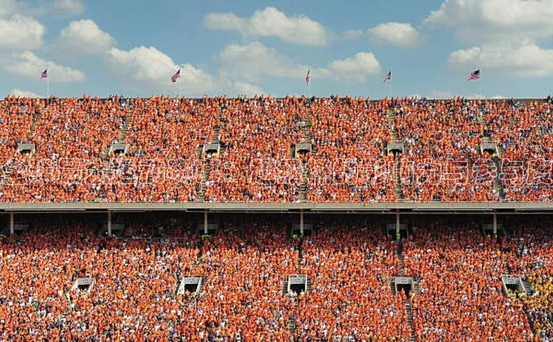 全球最大运动赛事：超级杯的影响力与参与度