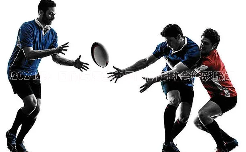 2024年：回顾与展望中国国内运动会精彩瞬间