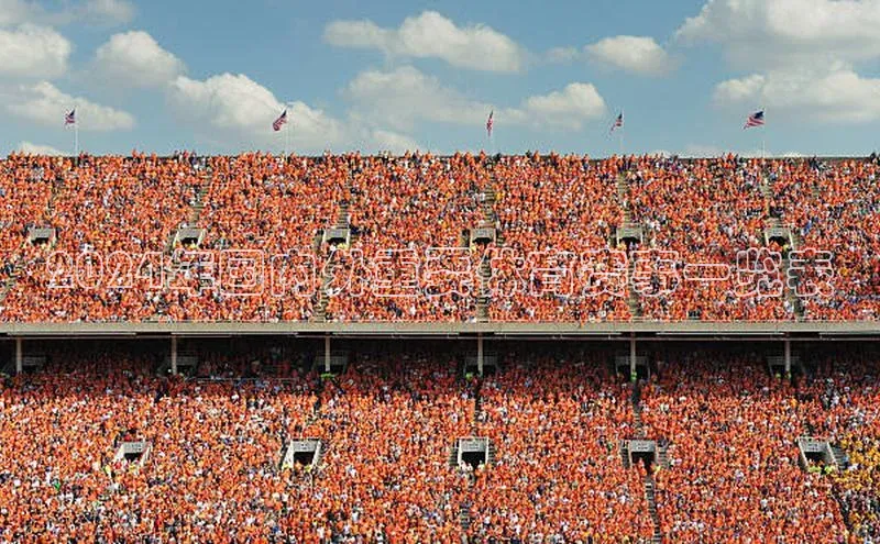 2024年国内外重要体育赛事一览表