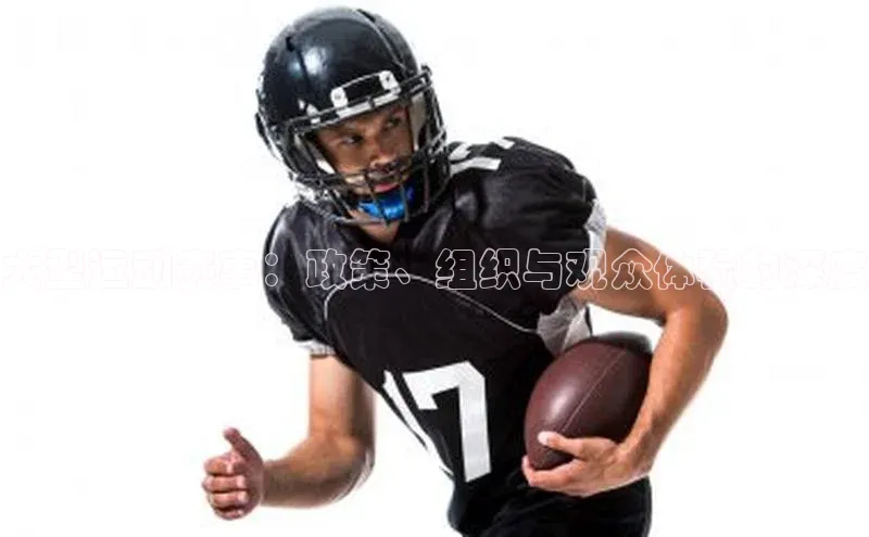 大型运动赛事：政策、组织与观众体验的深度