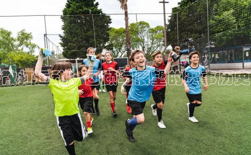 散打运动：回顾与展望的赛事历史