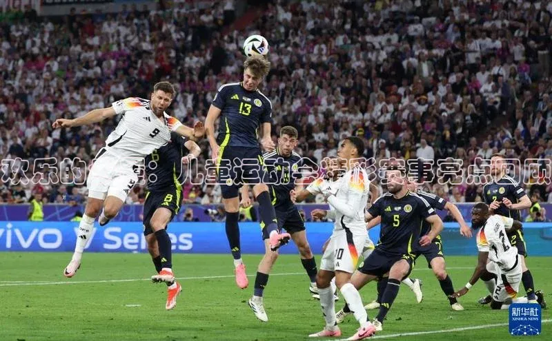 欢乐的步履：儿童运动会精彩赛事亮点回顾