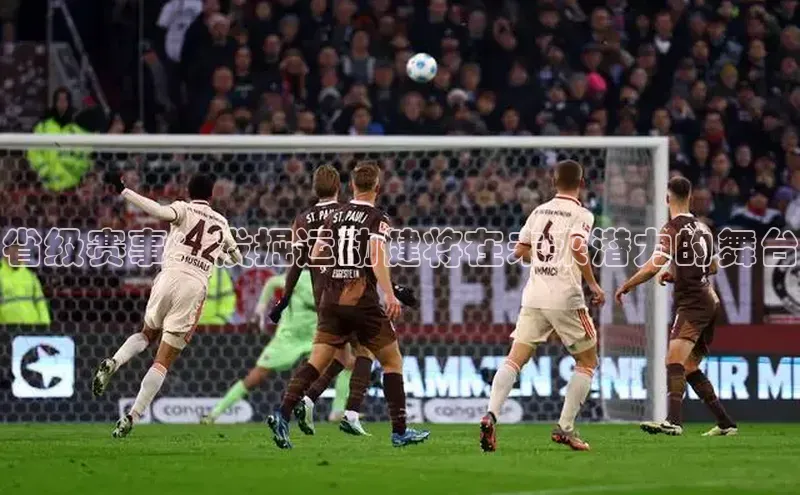 省级赛事：发掘运动健将在未来潜力的舞台