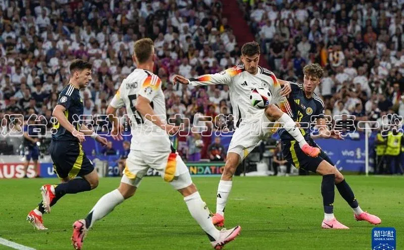 vsport体育在线比赛直播入口