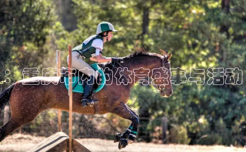 vsport体育在线比赛直播入口