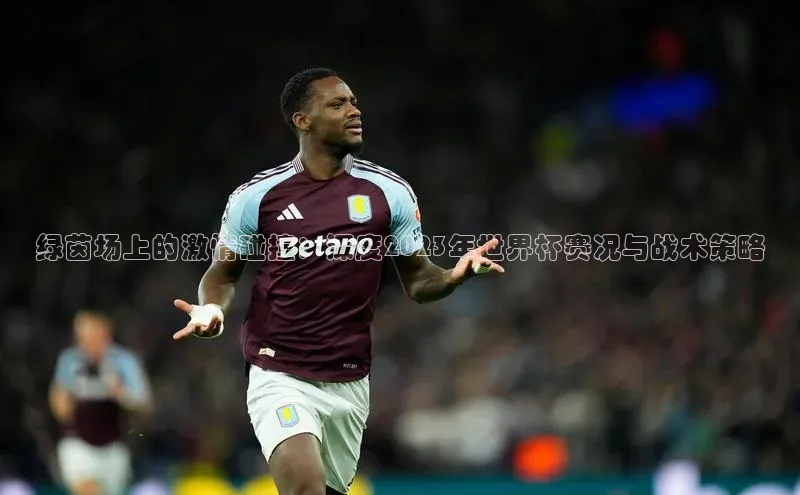 绿茵场上的激情碰撞：深度2023年世界杯赛况与战术策略